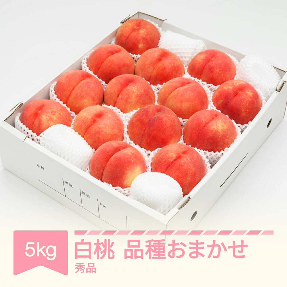 【先行予約】 もも 白桃 秀品 品種おまかせ 化粧箱入り 約5kg 令和8年産 2026年産 山形県産 果物 送料無料 ns-mohtx5※沖縄・離島への配送不可