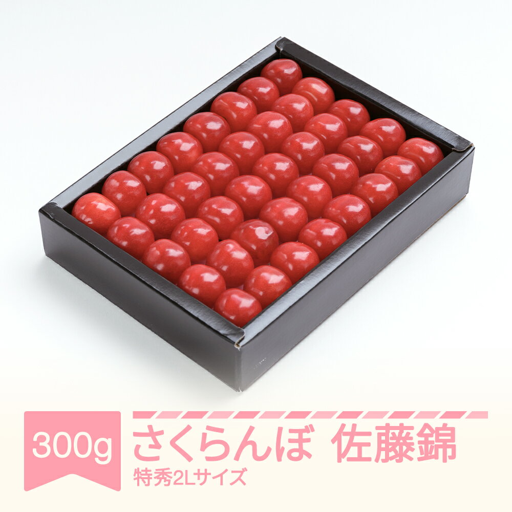 【先行予約】 さくらんぼ 佐藤錦 特秀2Lサイズ プレゼント ギフト 化粧箱鏡詰め 300g 2026年産 令和8年産 山形県産 送料無料 サクランボ