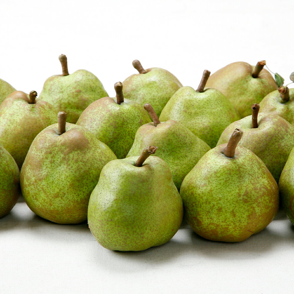 【ふるさと納税】 【先行予約】ラ・フランス 洋梨 ラフランス ◯秀品 約3kg 2026年産 令和8年産 果物 山形県産 送料無料※沖縄・離島への配送不可 sb-lamsx3 - 画像2