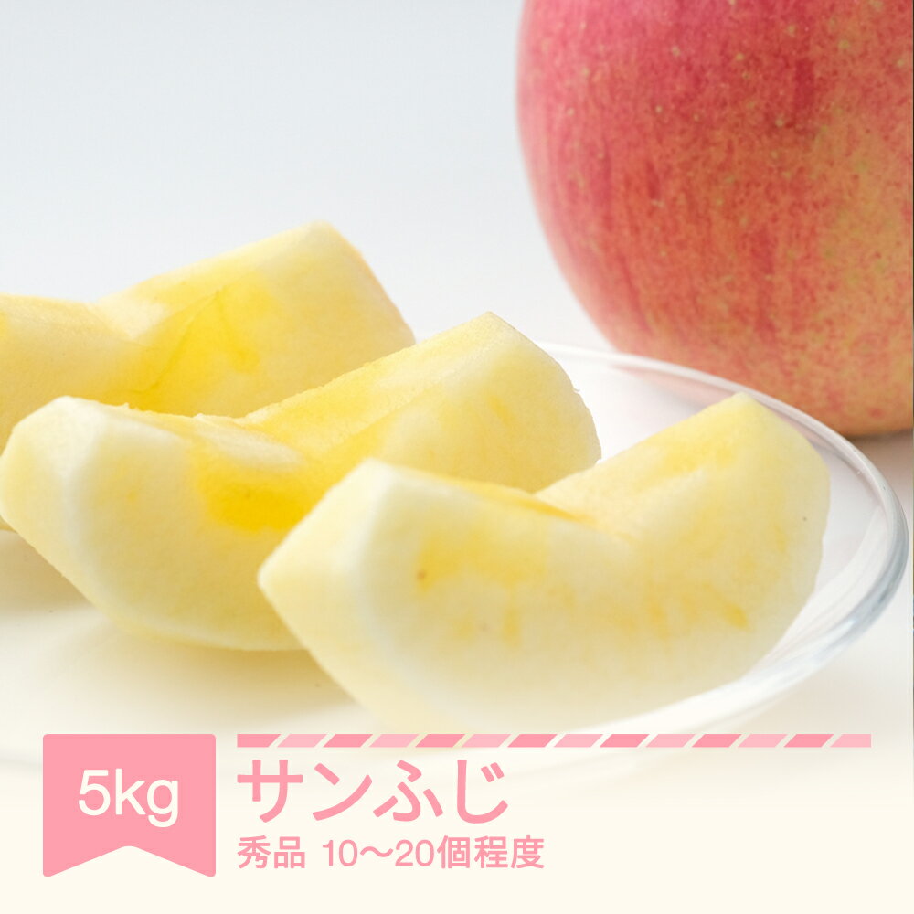 2025年産 りんご サンふじ 秀品 約5kg (10~20個程度) 山形県産 フルーツ 果物 くだもの リンゴ 林檎 sb-risfx5 ※沖縄・離島への配送不可