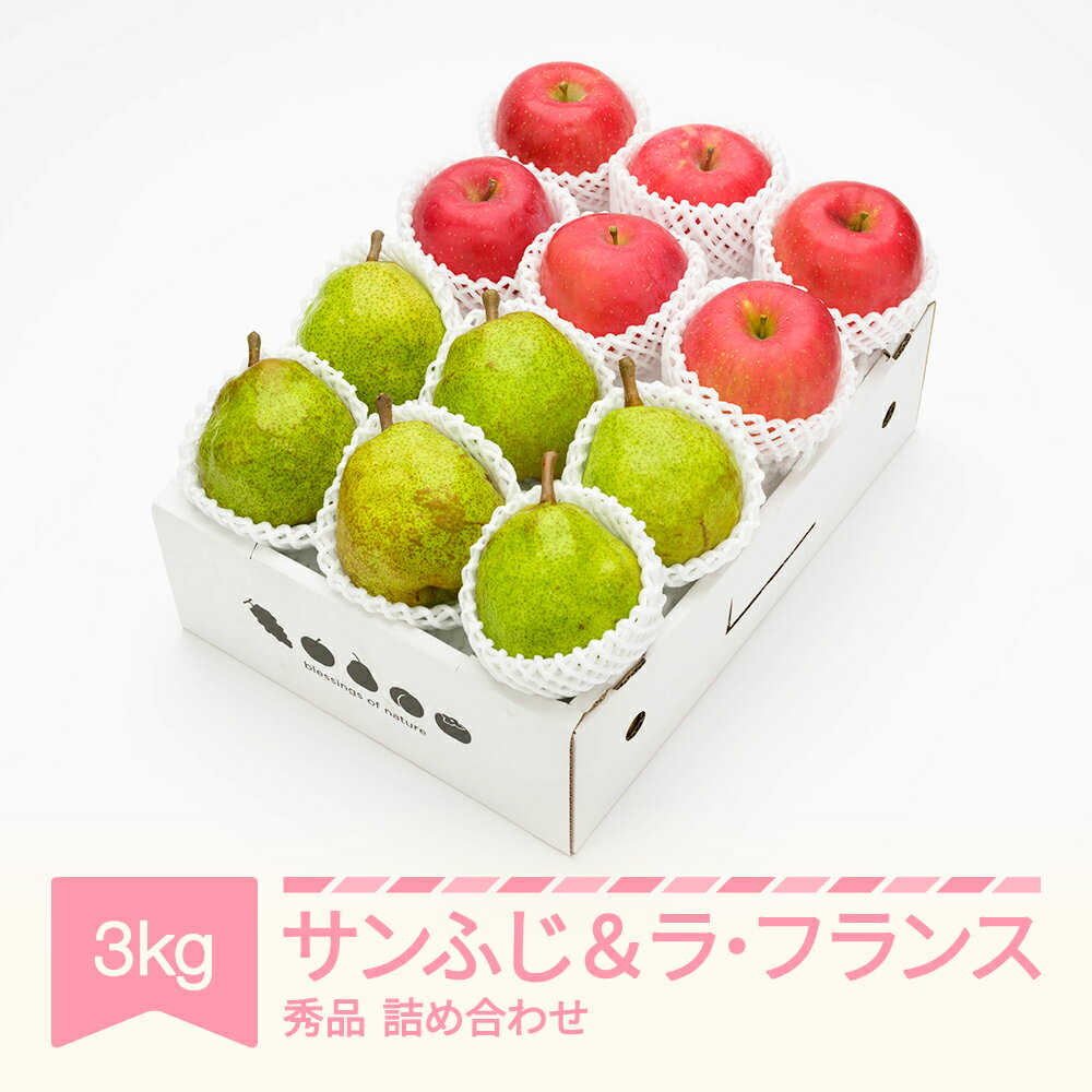 【先行予約】 サンふじ ＆ ラ・フランス 3kg 令和7年産 2025年産 山形県産 りんご 林檎 ラフランス 洋梨 果物 送料無料 ns-fsrlx3 ※沖縄・離島への配送不可