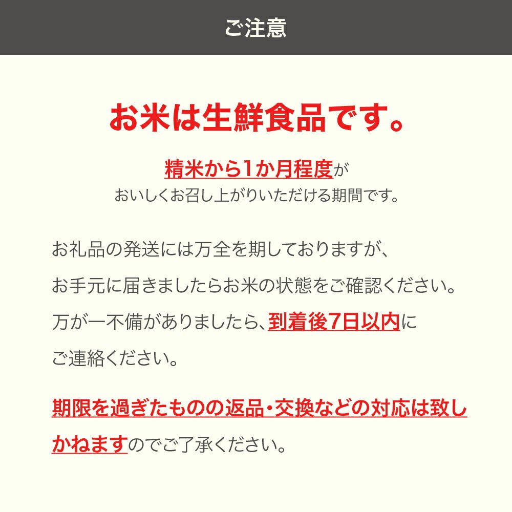【ふるさと納税】米 山形県産米 精米 10kg 10kg×1 令和7年産 2025年産 山形県村山市産 送料無料 ※沖縄・離島への配送不可 mo-brxxa10 - 画像2