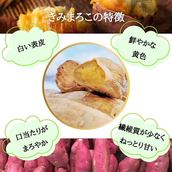 【ふるさと納税】【先行予約】 さつまいも きみまろこ 土付き 約6kg 村山市産 2026年産 令和8年産 山形県産 芋 送料無料 ※沖縄・離島への配送不可 no-spkmx6 - 画像2