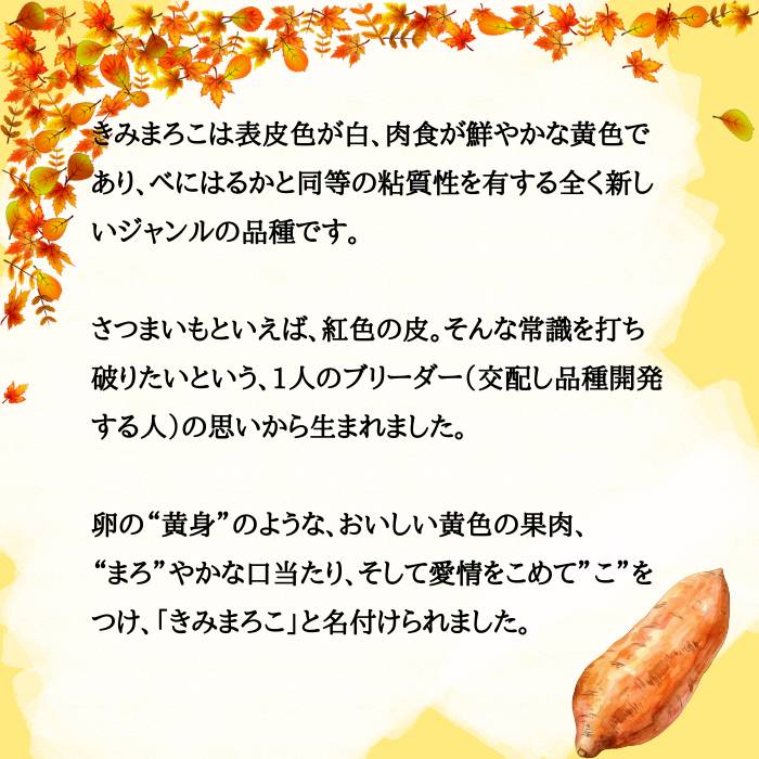 【ふるさと納税】【先行予約】 さつまいも きみまろこ 土付き 約6kg 村山市産 2026年産 令和8年産 山形県産 芋 送料無料 ※沖縄・離島への配送不可 no-spkmx6 - 画像3