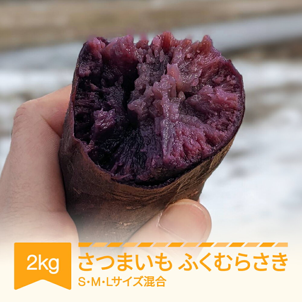 【先行予約】 さつまいも ふくむらさき 紫芋 村山市産 約2kg 2026年産 令和8年産 送料無料 山形県産 ※沖縄・離島への配送不可