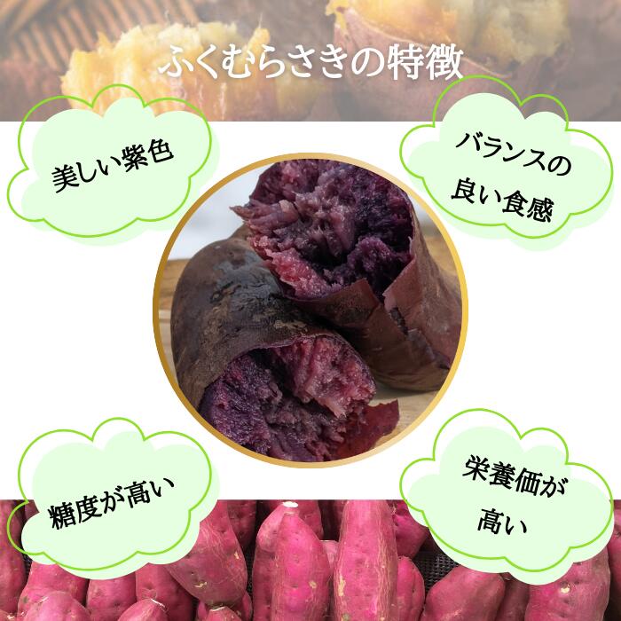 【ふるさと納税】【先行予約】 さつまいも ふくむらさき 紫芋 村山市産 約2kg 2026年産 令和8年産 送料無料 山形県産 ※沖縄・離島への配送不可 - 画像3
