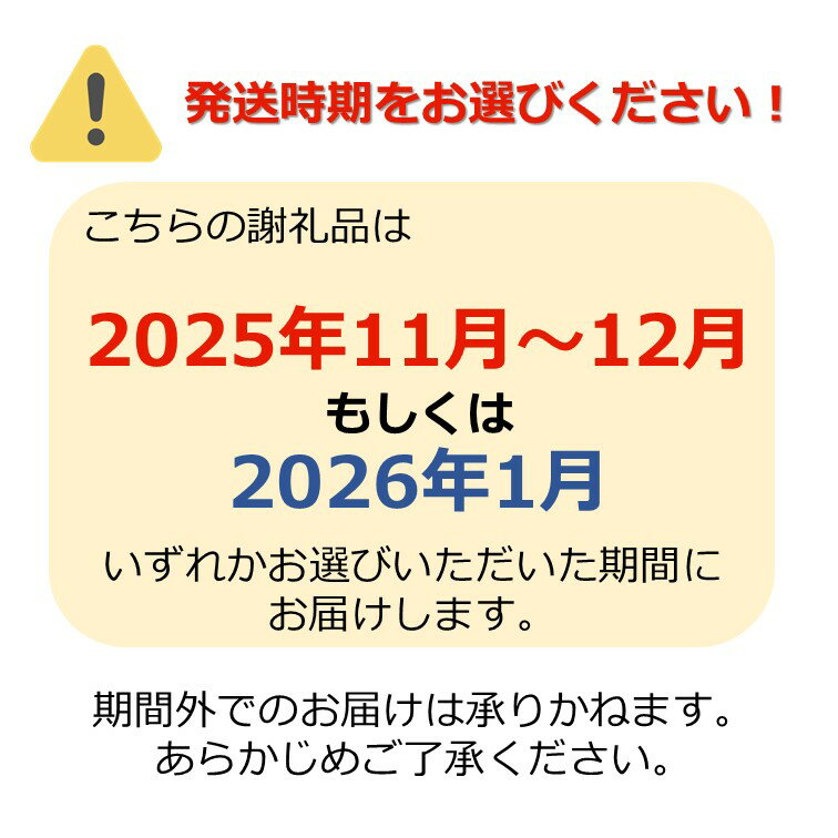 【ふるさと納税】【2025年11月～12月発送】高評価★4.34 訳あり サンふじ 10kg りんご リンゴ 10000円台 規格外 傷 不揃い サンフジ 人気 ランキング 約10kg H085(R7) サムネイル2