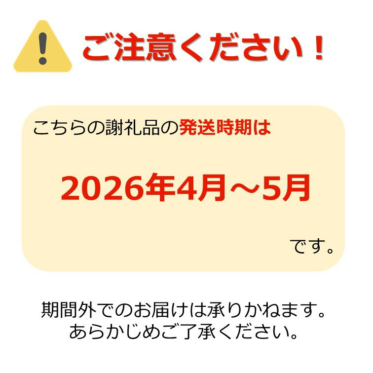 【ふるさと納税】高評価★4.9 新鮮な 特大 春 旬 アスパラ 約 1kg ＼ 太い ＆ 甘い 1本50g以上！／ 朝採り アスパラガス ミネラルや ビタミン が豊富 春野菜 野菜 【2026年発送 先行受付】_H049(R8) - 画像2
