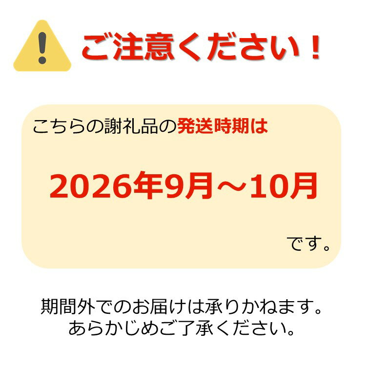 【ふるさと納税】＼アフター保証対象品／ 1kg以上 2房 山形 の シャインマスカット 人気 種なし 高級 ぶどう 【2026年 発送 先行受付】 先行予約 シャインマスカット ふるさと納税 ぶどう ふるさと 令和8年 2026 H065(R8) - 画像2