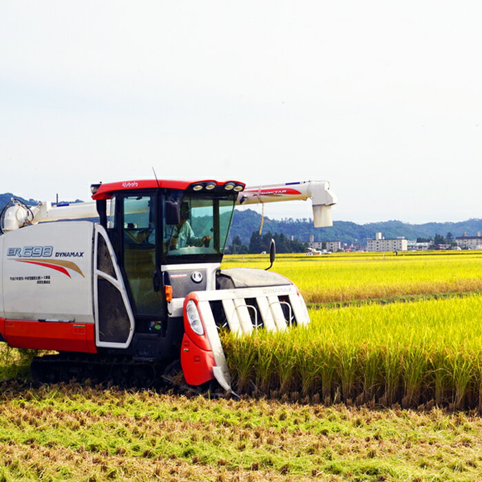 【ふるさと納税】【令和7年産】【特別栽培米】【玄米】野川清流米「ミルキークイーン」30kg(30kg×1袋)_A091(R7) - 画像2