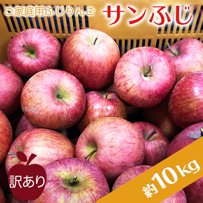 【2025年11月～12月発送】高評価★4.34 訳あり サンふじ 10kg りんご リンゴ 10000円台 規格外 傷 不揃い サンフジ 人気 ランキング 約10kg H085(R7)