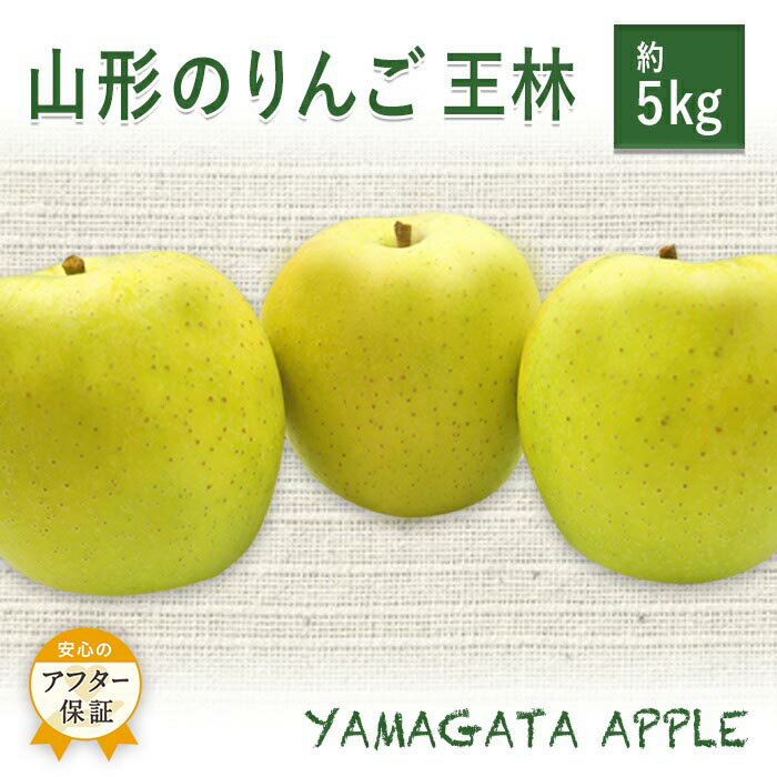 ＼アフター保証対象品／ 山形 りんご 約 5kg 王林 甘み と 香り が強く サクッと 軽い 食感 で 食べやすい 青りんご 【2025年11月発送】 H079(R7)