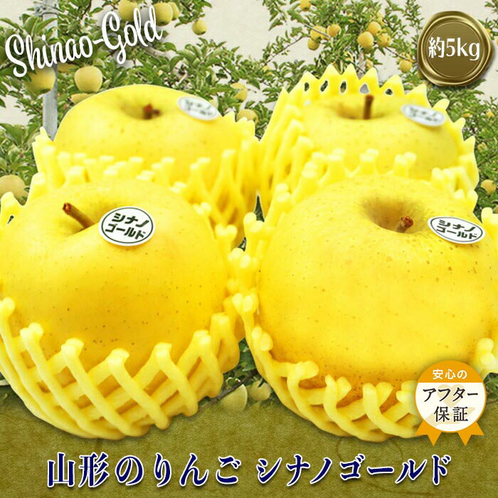 ＜ 2025年 発送＞ 山形のりんご（シナノゴールド）約5kg 【11月発送】 アフター保証対象 りんご シナノゴールド 5kg 山形県 山形 令和7年度 R7 ふるさと 人気 ランキング フルーツ 果物 _H120(R7)