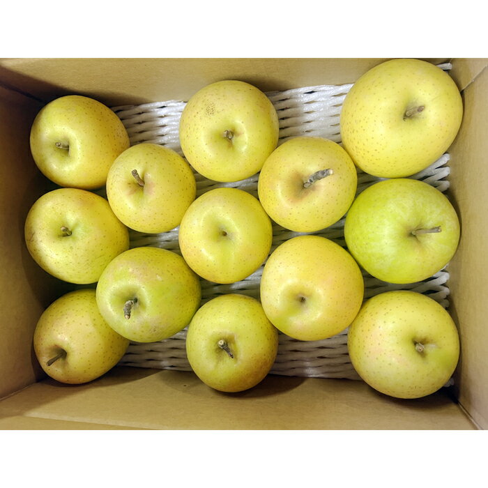 【ふるさと納税】 ＜ 2025年 発送＞「秀品」山形のりんご（王林）約3kg 【11月発送】りんご 王林 3kg 山形県 山形 令和7年度 R7 ふるさと 人気 ランキング フルーツ 果物 _H168(R7) サムネイル3