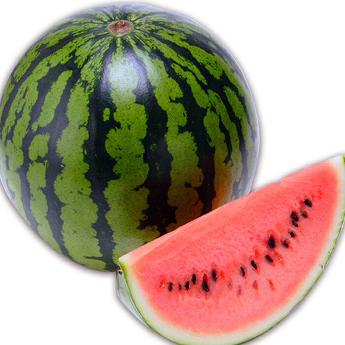 【ふるさと納税】【2026年発送】長井市伊佐沢の大玉すいか約6〜8kg×1玉_H055(R8) - 画像3