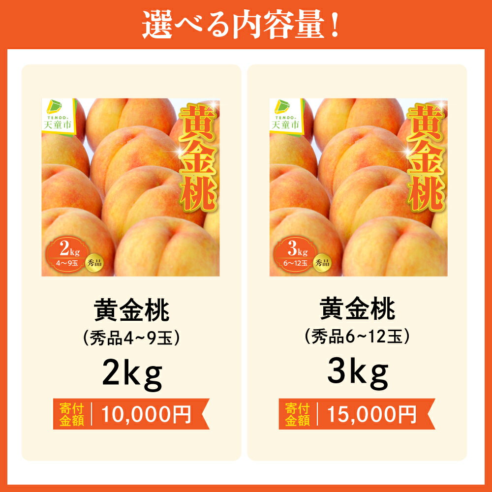 【ふるさと納税】もも ( 黄金桃 ) 選べる 2kg / 3kg 秀品 令和8年産 先行予約 2026年 桃 黄色 人気 おすすめ フルーツ 果物 くだもの 山形 お取り寄せ 産地直送 送料無料 【 山形県 天童市 】 サムネイル2