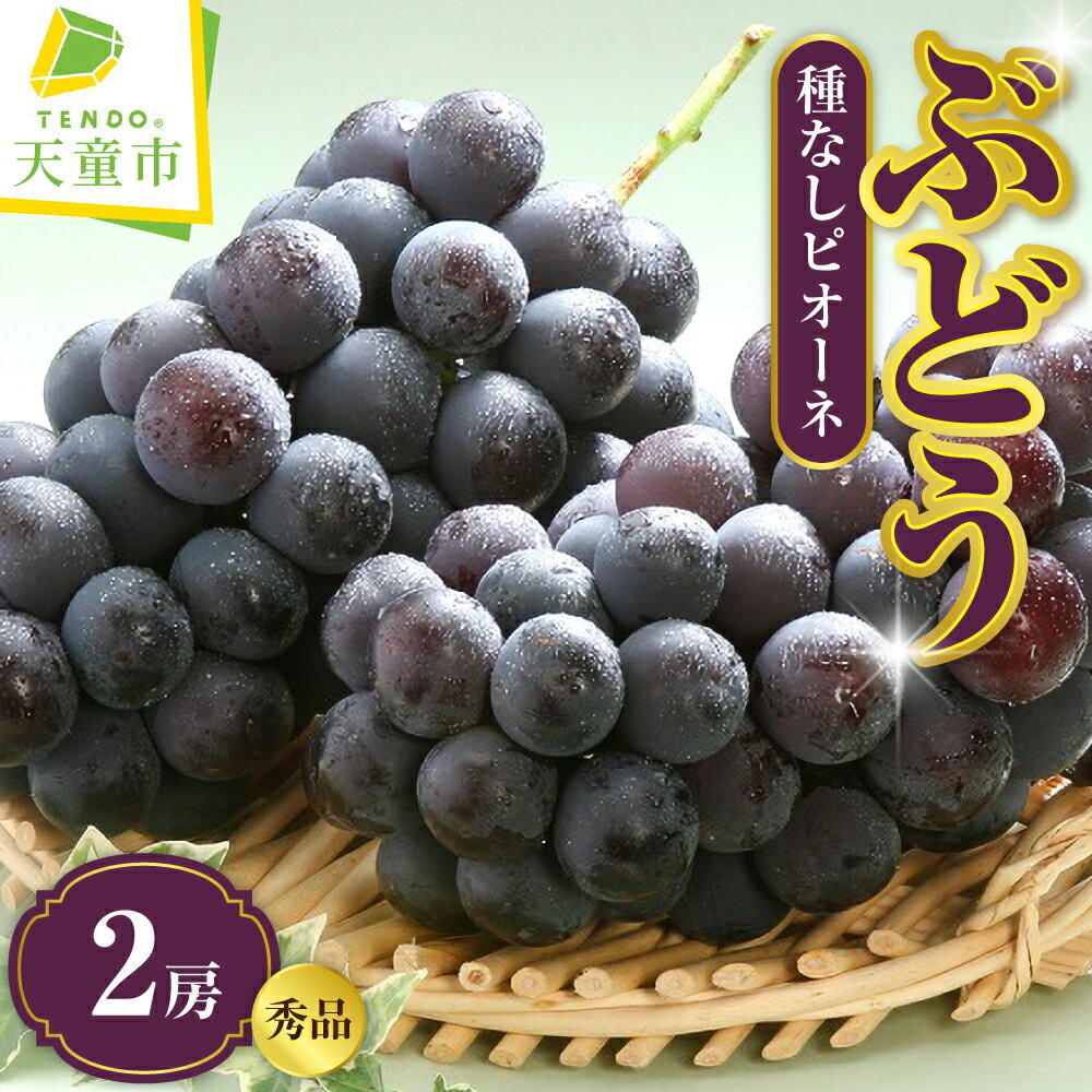 ぶどう ( 種なし ピオーネ ) 1kg 秀 2房 令和8年産 先行予約 2026年 葡萄 人気 おすすめ フルーツ 果物 くだもの 山形 お取り寄せ 産地直送 送料無料 【 山形県 天童市 】