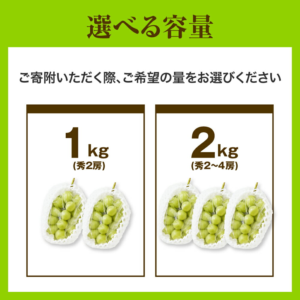 【ふるさと納税】 ぶどう ( シャインマスカット ) 秀品 選べる 1kg / 2kg 令和8年産 先行予約 2026年 山形県産 葡萄 果物 フルーツ のし 贈答 ギフト プレゼント おすそ分け 秋 旬 期間限定 冷蔵便 送料無料 産地直送 お取り寄せ【 山形県 天童市 】 サムネイル2