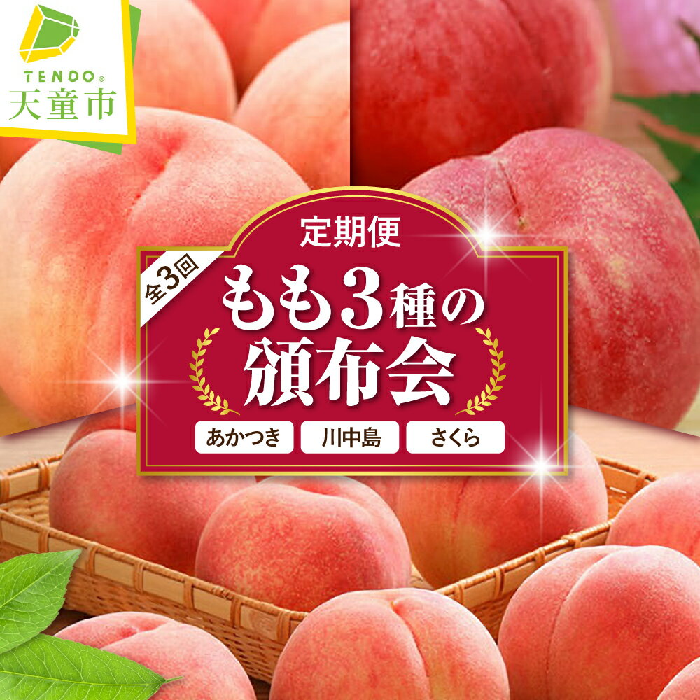 もも 3種 の 頒布会 ( 定期便 ) 全3回 秀品 あかつき 川中島 さくら 令和8年産 先行予約 2026年 桃 白桃 人気 おすすめ フルーツ 果物 くだもの 山形 お取り寄せ 食べ比べ 産地直送 送料無料 【 山形県 天童市 】