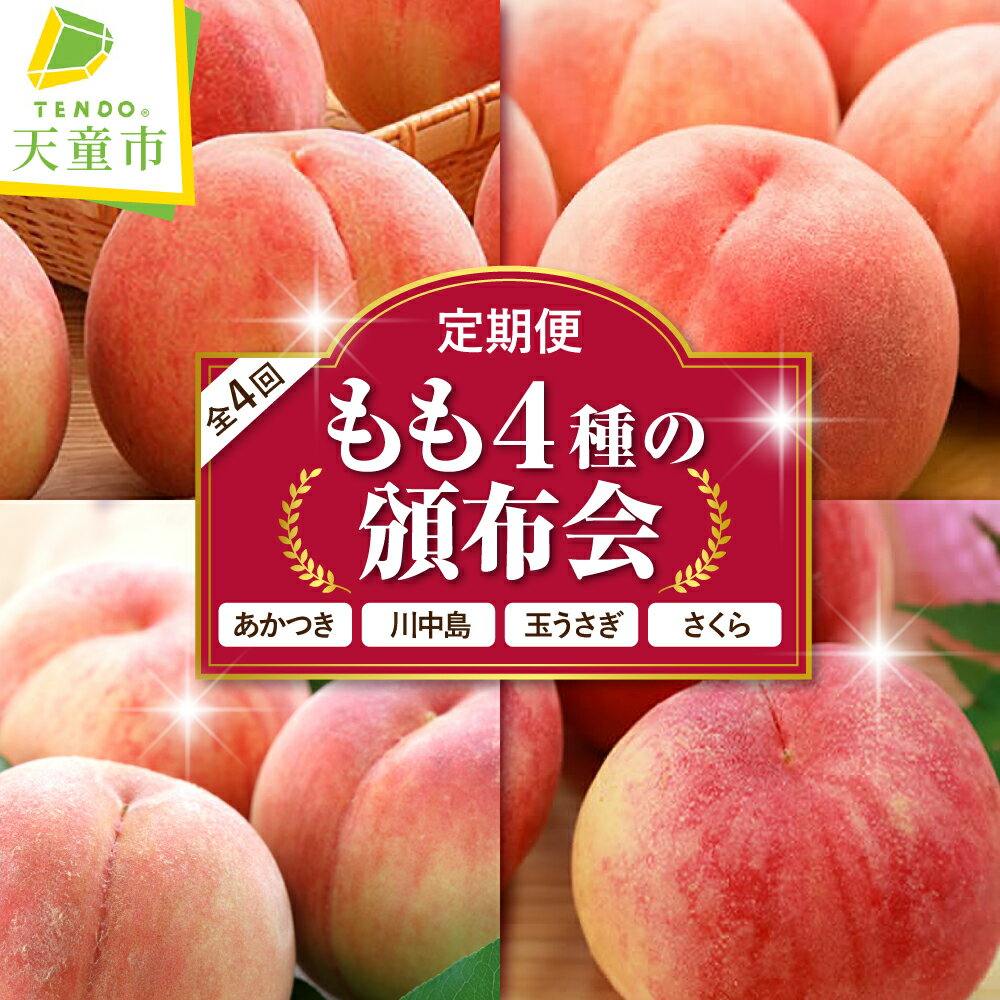 もも 4種 の 頒布会 ( 定期便 ) 全4回 秀品 あかつき 川中島 玉うさぎ さくら 令和8年産 先行予約 2026年 桃 白桃 人気 おすすめ フルーツ 果物 くだもの 山形 お取り寄せ 食べ比べ 産地直送 送料無料 【 山形県 天童市 】