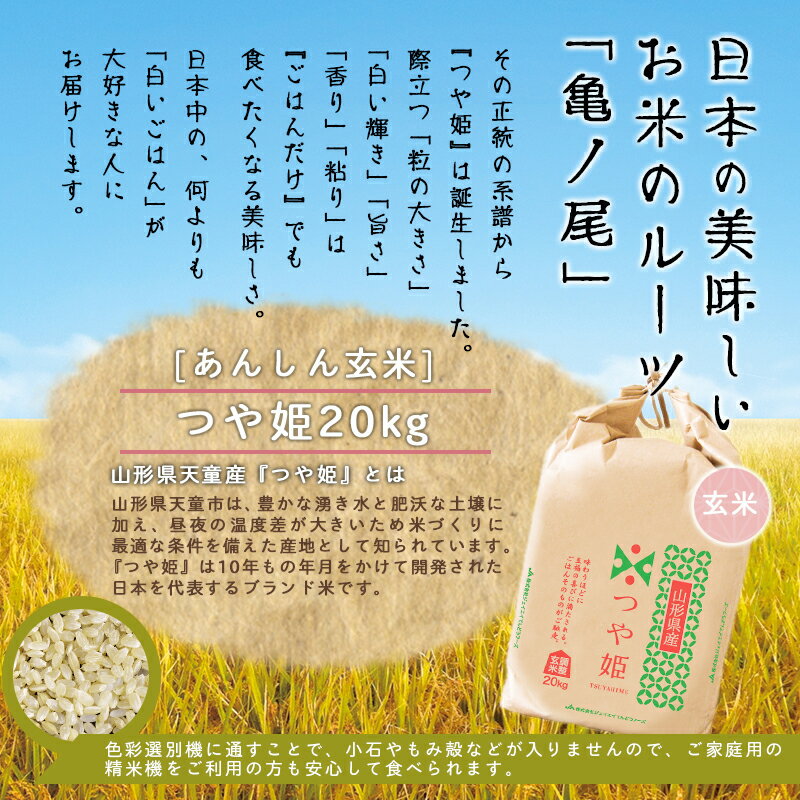 【ふるさと納税】 あんしん玄米 20kg 選べる 1品種 つや姫 はえぬき 雪若丸 20kg / 20kg×1袋 令和7年産 お米 米 コメ こめ おこめ 玄米 ブランド米 玄米生活 健康志向 ごはん おにぎり 20キロ 袋 お取り寄せ 送料無料 大容量 産地直送 【 山形県 天童市 】 - 画像2