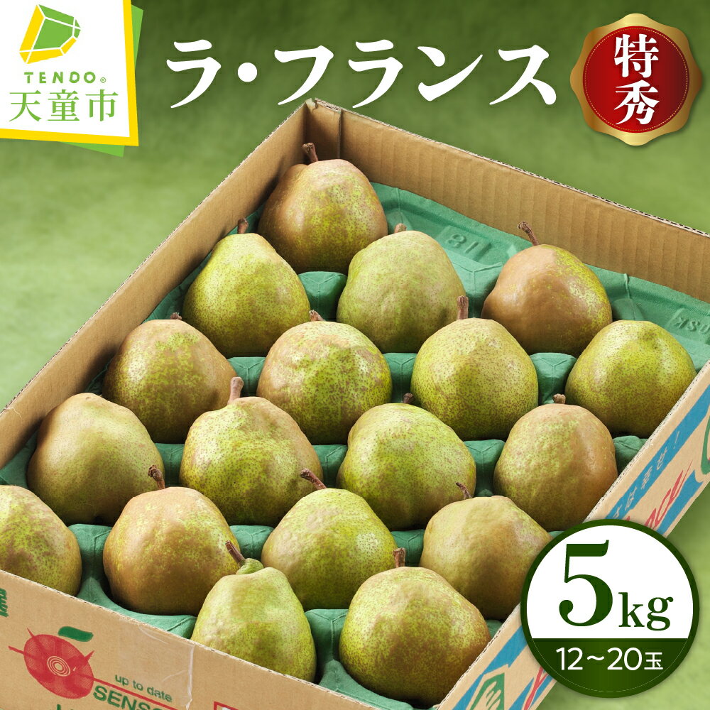 ラ・フランス 5kg 特秀 (12～20玉) ラフランス 洋梨 西洋梨 果物 フルーツ ご家庭用 のし 贈答 ギフト プレゼント おすそ分け お取り寄せ 旬 秋 冬 期間限定 産地直送 送料無料 先行予約 【 山形県 天童市 】