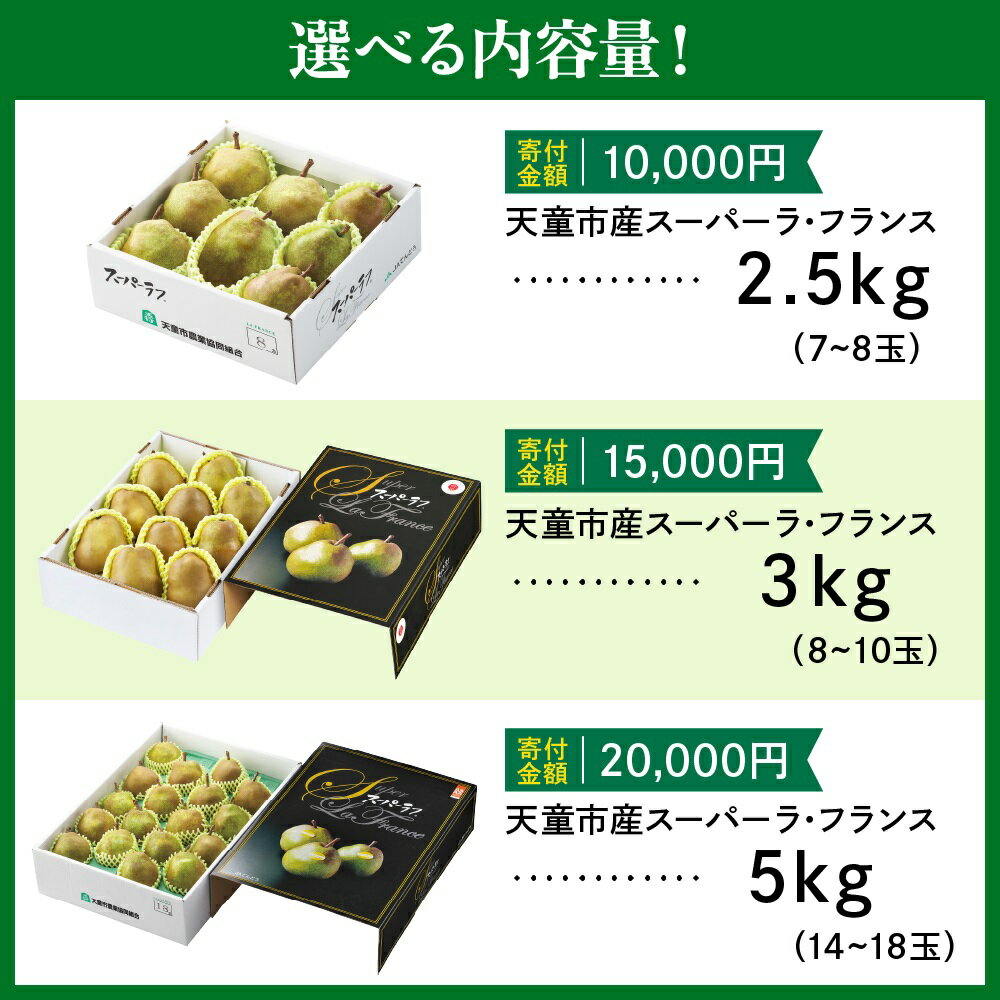 【ふるさと納税】 スーパー ラ・フランス 選べる 内容量 2.5kg 3kg 5kg ラフランス 西洋梨 洋梨 果物 くだもの フルーツ ご家庭用 のし 贈答 ギフト プレゼント おすそ分け お取り寄せ 旬 秋 冬 期間限定 送料無料 先行予約 【 山形県 天童市 】 サムネイル3