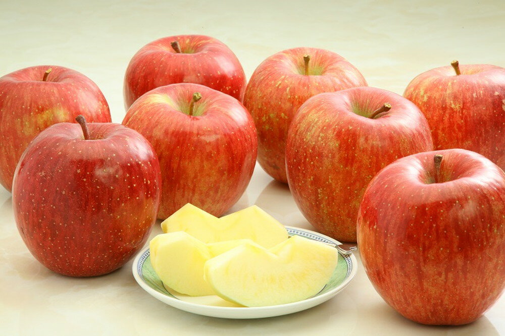 【ふるさと納税】 りんご ( サンふじ ) 選べる 3kg / 5kg / 10kg ふじ りんご 果物 フルーツ 秀 のし 贈答 ギフト プレゼント おすそ分け お取り寄せ 旬 秋 冬 期間限定 産地直送 送料無料 先行予約 【 山形県 天童市 】 サムネイル2