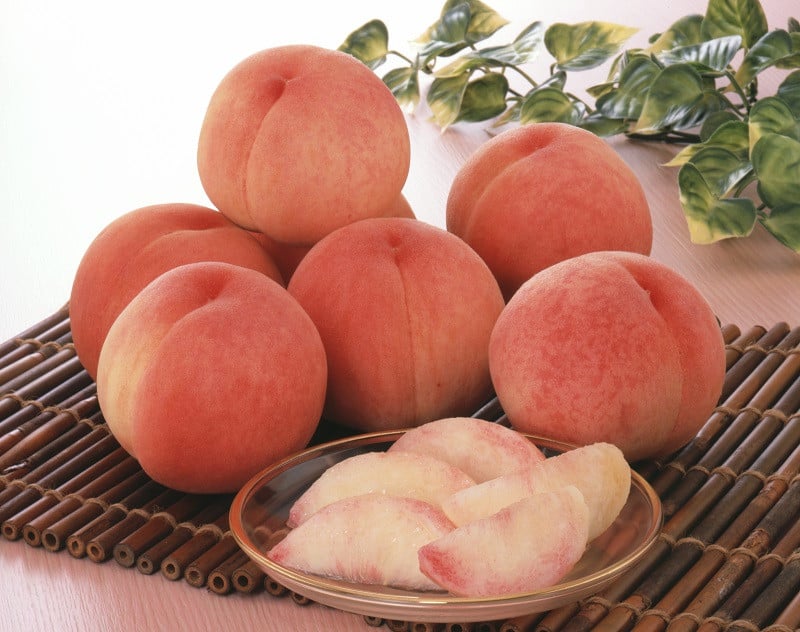 【ふるさと納税】 もも ( あかつき ) 選べる 2kg / 3kg 秀品 令和8年産 先行予約 2026年 山形県産 桃 白桃 果物 フルーツ のし 贈答 ギフト おすそ分け 期間限定 冷蔵便 送料無料 産地直送 お取り寄せ 【 山形県 天童市 】 サムネイル3