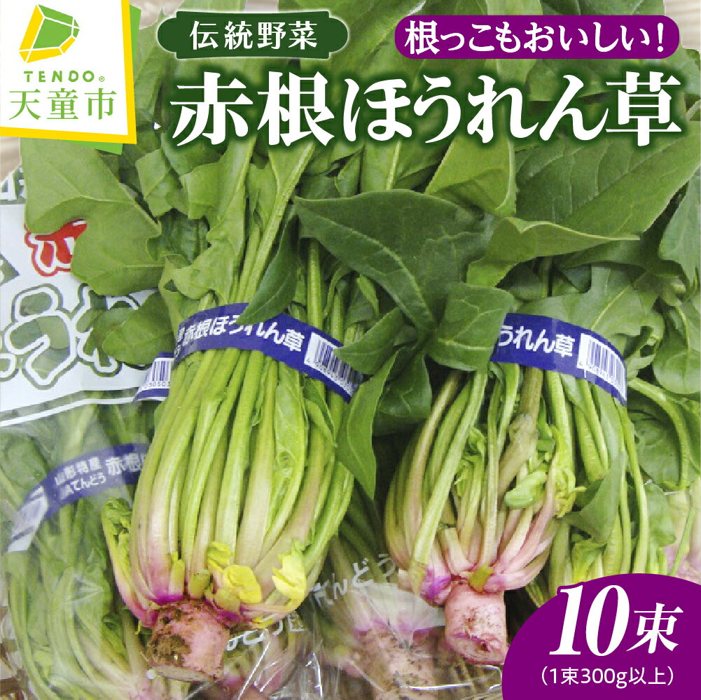 根っこもおいしい！ 赤根 ほうれん草 10束 1束 300g以上 野菜 ホウレンソウ 柔らかい 甘い のし 贈答 ギフト プレゼント おすそ分け お取り寄せ 送料無料 先行予約 【 山形県 天童市 】
