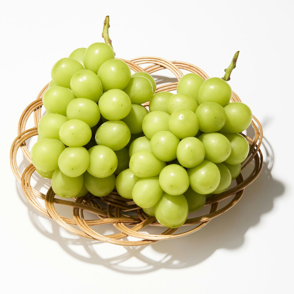 【ふるさと納税】 ぶどう ( シャインマスカット ) 秀品 選べる 1kg / 2kg 令和8年産 先行予約 2026年 山形県産 葡萄 果物 フルーツ のし 贈答 ギフト プレゼント おすそ分け 秋 旬 期間限定 冷蔵便 送料無料 産地直送 お取り寄せ【 山形県 天童市 】 サムネイル3