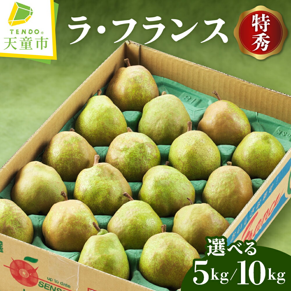 ラ・フランス ( 選べる ： 5kg / 10kg ) 令和8年産 先行予約 2026年 特秀 (12～20玉) ラフランス 洋梨 西洋梨 果物 フルーツ ご家庭用 のし 贈答 ギフト プレゼント お取り寄せ 旬 秋 冬 期間限定 産地直送 送料無料【 山形県 天童市 】