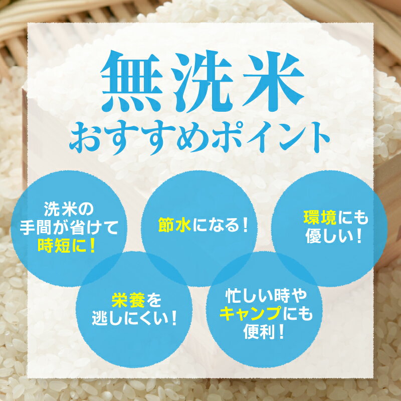 【ふるさと納税】 雪若丸 無洗米 内容量が選べる 5kg (5kg×1袋) / 10kg (5kg×2袋) 配送時期が選べる 令和7年産 先行予約 新米 山形 米 ブランド米 ごはん 白米 精米 おにぎり 国産米 常温 おすそ分け 産地直送 発送時期が選べる 【 山形県 天童市 】 サムネイル2