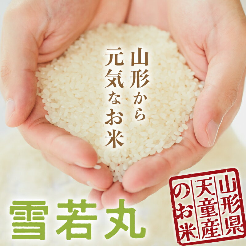 【ふるさと納税】 雪若丸 無洗米 内容量が選べる 5kg (5kg×1袋) / 10kg (5kg×2袋) 配送時期が選べる 令和7年産 先行予約 新米 山形 米 ブランド米 ごはん 白米 精米 おにぎり 国産米 常温 おすそ分け 産地直送 発送時期が選べる 【 山形県 天童市 】 サムネイル3