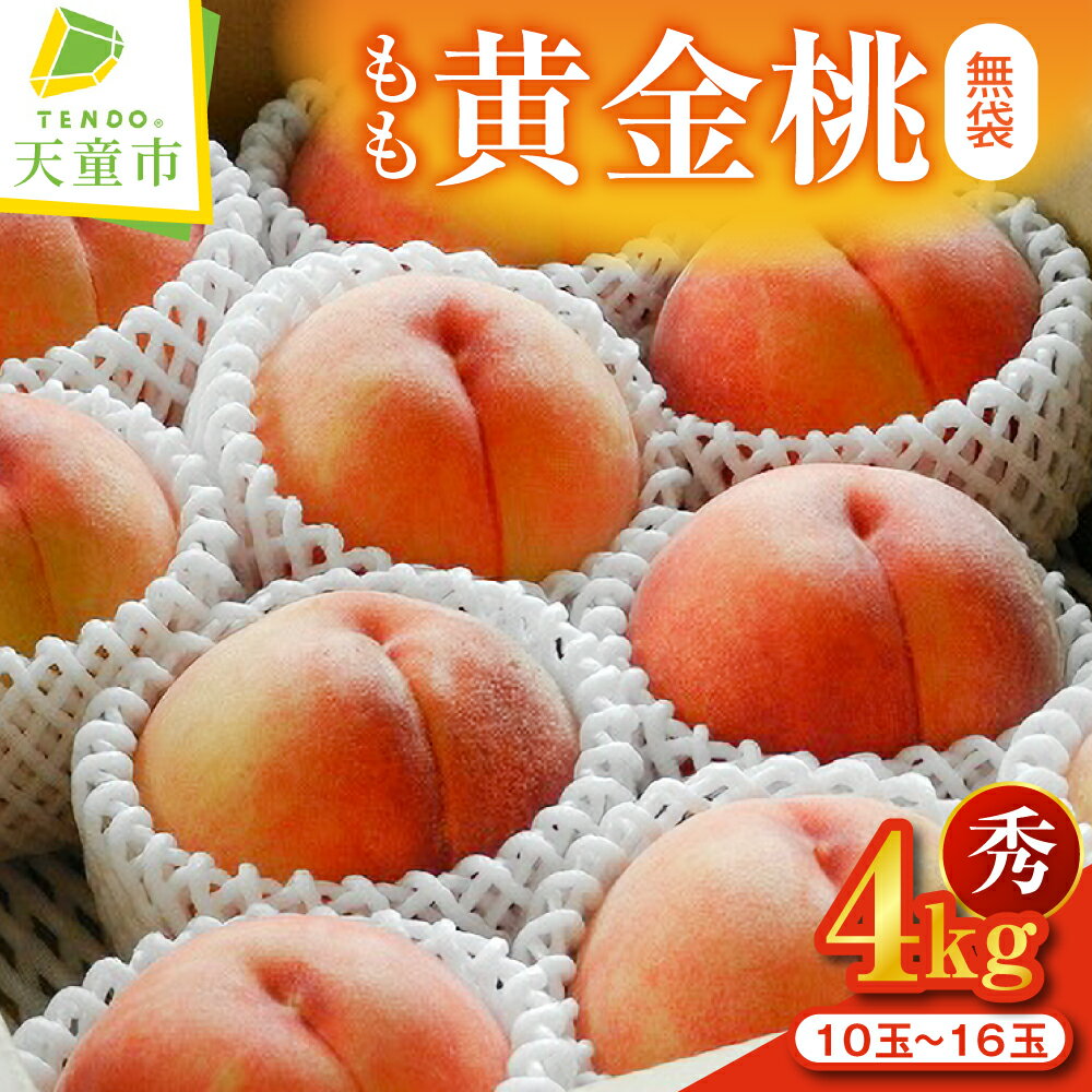 もも ( 黄金桃 無袋 ) 約 4kg 秀品 令和8年産 先行予約 2026年 桃 黄桃 人気 おすすめ フルーツ 果物 くだもの 山形 お取り寄せ 産地直送 送料無料 【 山形県 天童市 】