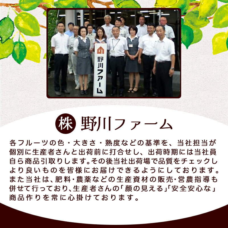 【ふるさと納税】ぶどう ( シャインマスカット ) 選べる 1房 / 2房 令和8年産 先行予約 2026年 山形県産 葡萄 果物 フルーツ 葡萄 のし 贈答 ギフト プレゼント おすそ分け 秋 旬 期間限定 冷蔵便 送料無料 産地直送 お取り寄せ【 山形県 天童市 】 サムネイル3