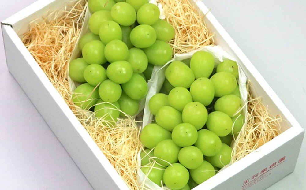 【ふるさと納税】ぶどう ( 特選 シャインマスカット ) 約1.5kg 秀品 令和8年産 先行予約 2026年 山形県産 葡萄 果物 フルーツ のし 贈答 ギフト プレゼント おすそ分け 秋 旬 期間限定 冷蔵便 送料無料 【 山形県 天童市 】 サムネイル2