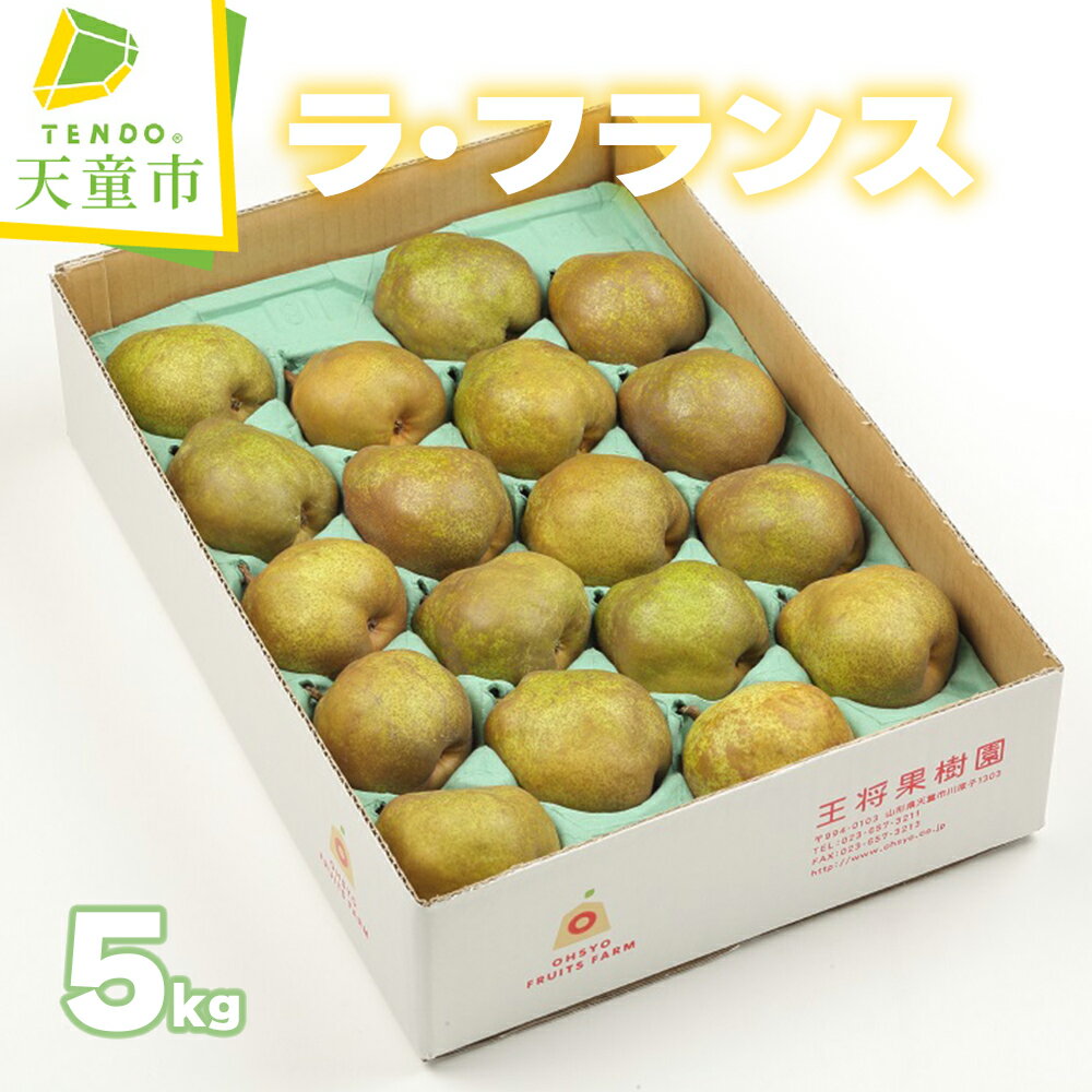 ラ・フランス 5kg 秀 (14～20玉) ラフランス 洋梨 西洋梨 果物 フルーツ 家庭用 のし 贈答 ギフト プレゼント おすそ分け お取り寄せ 旬 秋 冬 期間限定 送料無料 先行予約 【 山形県 天童市 】