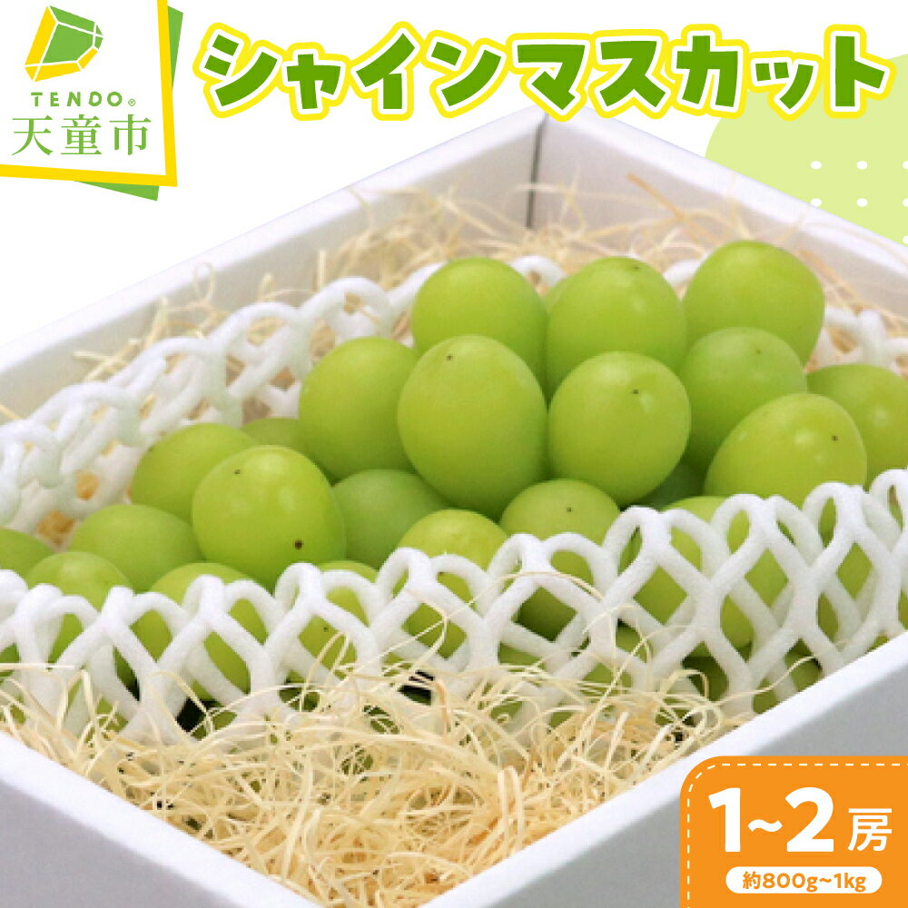 ぶどう ( シャインマスカット ) 1～2房 山形県産 ぶどう ブドウ 葡萄 果物 フルーツ 800g～1kg ご家庭用 のし 贈答 ギフト プレゼント おすそ分け 旬 秋 期間限定 冷蔵便 送料無料 先行予約 【 山形県 天童市 】