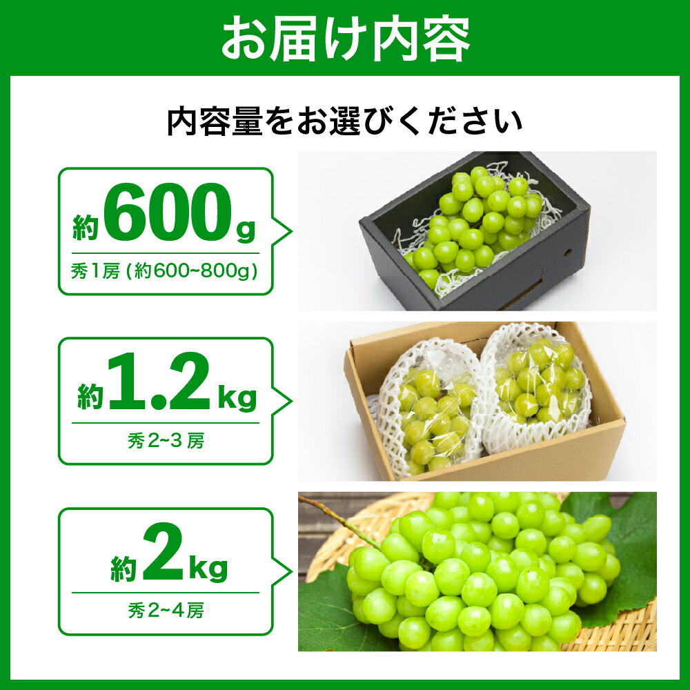 【ふるさと納税】 ぶどう ( シャインマスカット ) 約600g / 1.2kg / 2kg 令和8年産 先行予約 2026年 山形県産 葡萄 果物 フルーツ 秀品 のし 贈答 ギフト プレゼント おすそ分け 秋 旬 期間限定 冷蔵便 送料無料 産地直送 お取り寄せ 【 山形県 天童市 】 サムネイル2