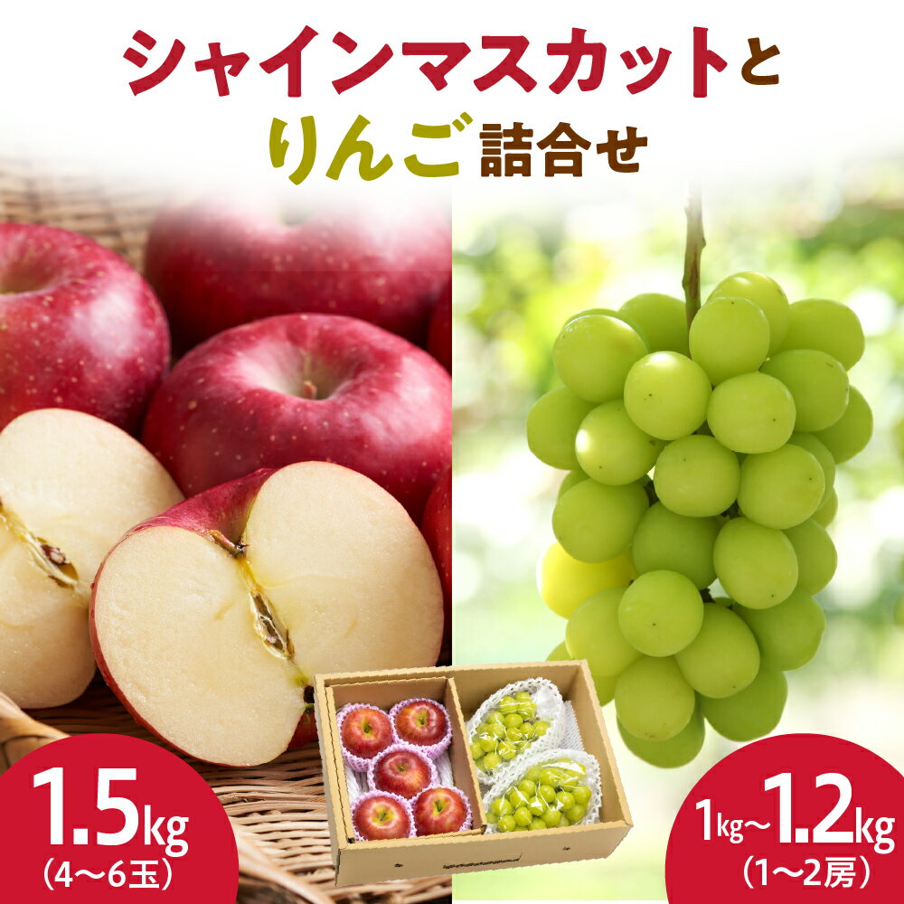 シャインマスカット と りんご 詰合せ 2.5kg 令和8年産 先行予約 2026年 ぶどう 林檎 人気 おすすめ フルーツ 果物 くだもの 山形 お取り寄せ 産地直送 送料無料 【 山形県 天童市 】