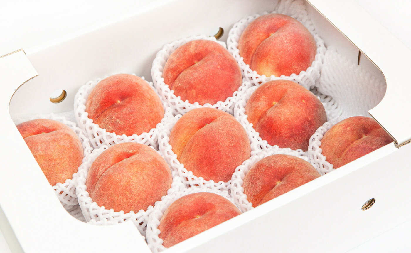 【ふるさと納税】 もも ( 大玉 あかつき ) 約 3kg 秀品 6〜11玉 令和8年産 先行予約 2026年 山形県産 桃 白桃 果物 フルーツ のし 贈答 ギフト おすそ分け 期間限定 冷蔵便 送料無料 【 山形県 天童市 】 サムネイル2