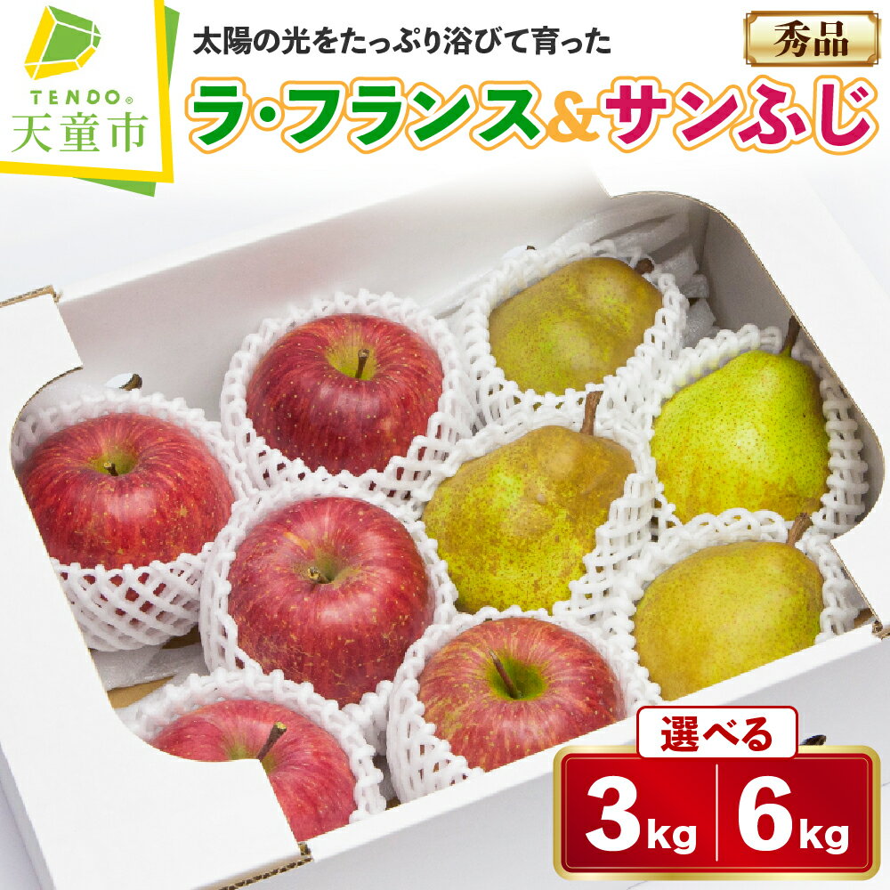 ラ・フランス & サンふじ 詰合せ 選べる 3kg / 6kg ラフランス 洋梨 西洋梨 ふじ りんご 果物 フルーツ セット 秀 のし 贈答 ギフト プレゼント おすそ分け お取り寄せ 旬 秋 冬 期間限定 送料無料 先行予約 【 山形県 天童市 】
