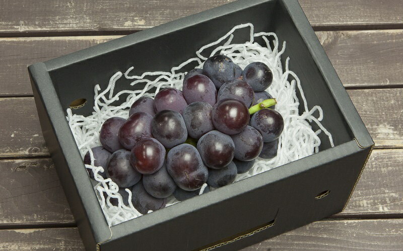 【ふるさと納税】ぶどう ( 種なし ピオーネ ) 選べる 約 600g / 1.2kg / 2kg 令和8年産 先行予約 2026年 山形県産 葡萄 果物 フルーツ 秀品 のし 贈答 ギフト プレゼント おすそ分け 秋 旬 期間限定 冷蔵便 送料無料 産地直送 お取り寄せ 【 山形県 天童市 】 サムネイル3