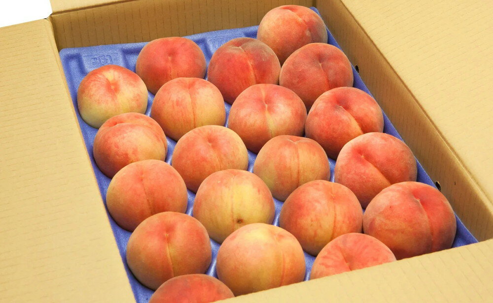 【ふるさと納税】もも ( おまかせ 白桃 ) 4.5kg 秀品 令和8年産 先行予約 2026年 桃 白桃 人気 おすすめ フルーツ 果物 くだもの 山形 お取り寄せ 産地直送 送料無料 【 山形県 天童市 】 サムネイル2