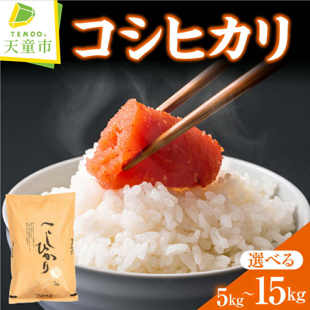 コシヒカリ 選べる 5kg / 10kg / 15kg 令和7年産 米 2025年 コメ こめ おこめ 精米 特別栽培米 ブランド米 ごはん 白米 ご飯 5kg 袋 小分け 便利 お取り寄せ 食品 産地直送 送料無料 【 山形県 天童市 】