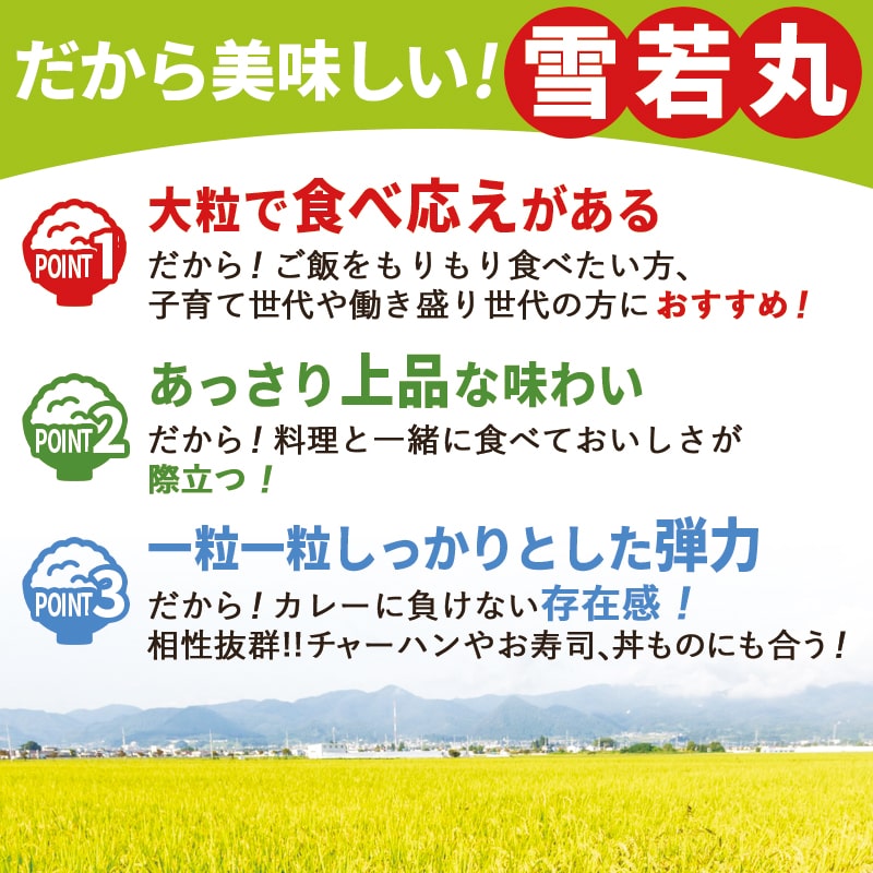 【ふるさと納税】 雪若丸 選べる 5kg / 10kg 令和7年産 米 2025年 コメ こめ おこめ お米 精米 ブランド米 ごはん 白米 ご飯 おにぎり 弁当 5kg袋 お取り寄せ 食品 産地直送 送料無料 【 山形県 天童市 】 - 画像3