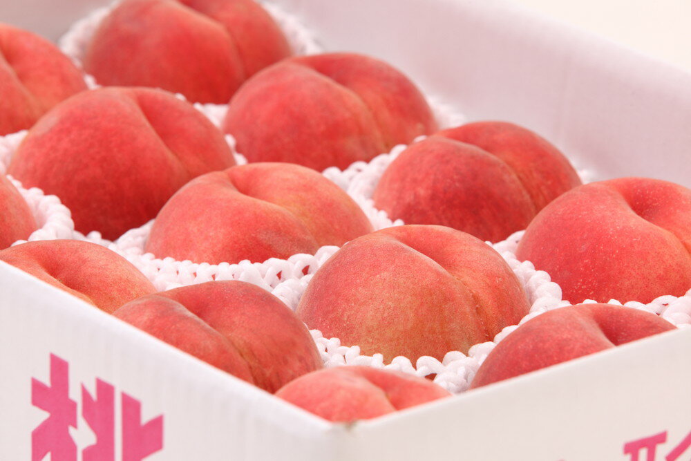 【ふるさと納税】 もも ( あかつき ) 選べる 2kg / 3kg 秀品 令和8年産 先行予約 2026年 山形県産 桃 白桃 果物 フルーツ のし 贈答 ギフト おすそ分け 期間限定 常温便 冷蔵便 送料無料 【 山形県 天童市 】 サムネイル3