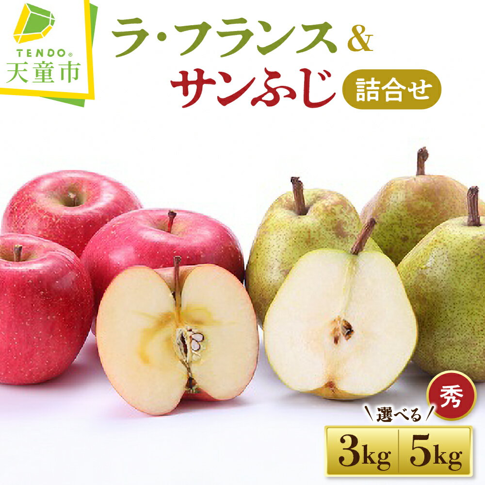 ラ・フランス & サンふじ 詰合せ 3kg / 5kg ラフランス 洋梨 西洋梨 ふじ りんご 果物 フルーツ セット 秀 のし 贈答 ギフト プレゼント おすそ分け お取り寄せ 旬 秋 冬 期間限定 送料無料 先行予約 【 山形県 天童市 】