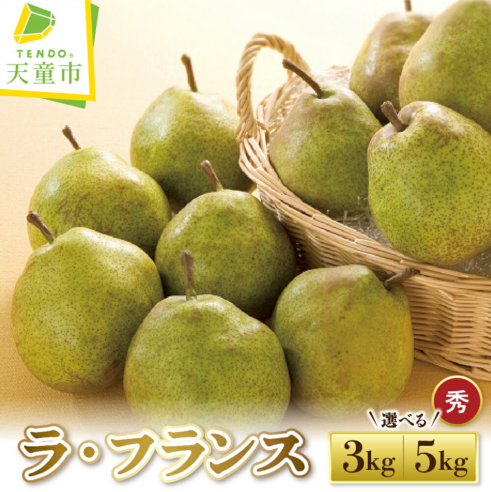 ラ・フランス 選べる 3kg / 5kg 秀 ( 3キロ 8～12玉 / 5キロ 13～18玉) ラフランス 洋梨 西洋梨 果物 フルーツ ご家庭用 のし 贈答 ギフト プレゼント おすそ分け お取り寄せ 旬 秋 冬 期間限定 送料無料 先行予約 【 山形県 天童市 】